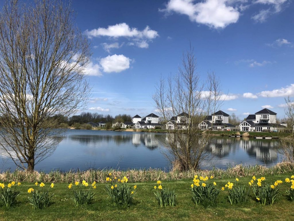 Summer Lakeside Holiday Lodges With Daffodils