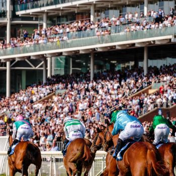 Watermark Cheltenham Festival Banner