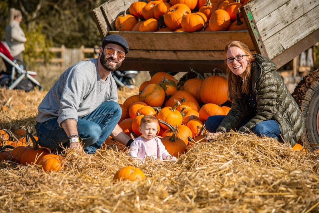 Cotswold Farm Park pumpkin patch